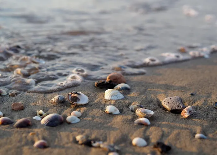 Cozy With Shared Pool Apartman Bibione